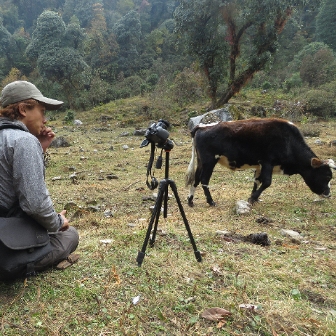 A JOURNEY INTO THE HERDERS PARADISE
